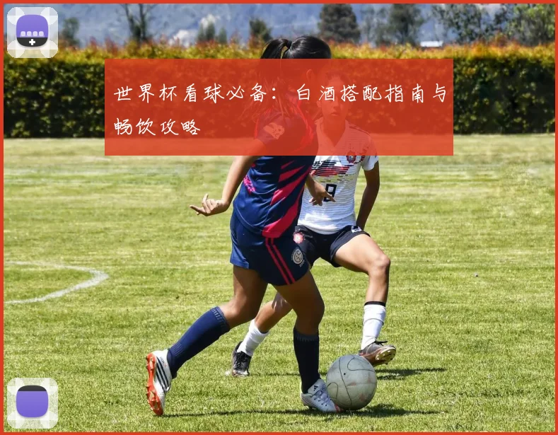 世界杯看球必备:白酒搭配指南与畅饮攻略