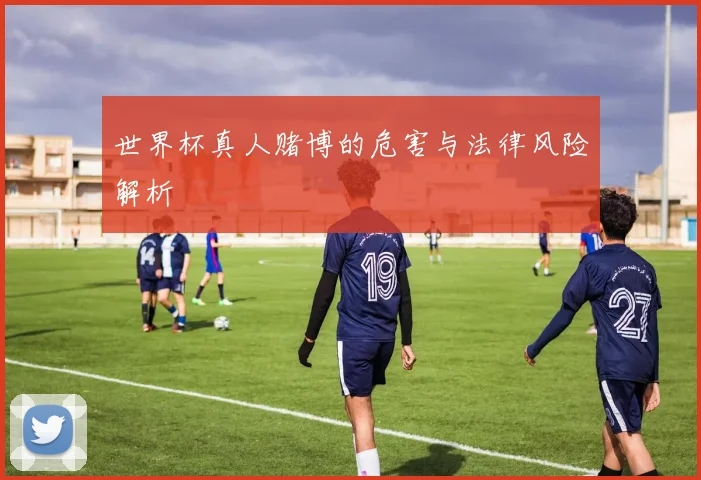 世界杯真人赌博的危害与法律风险解析