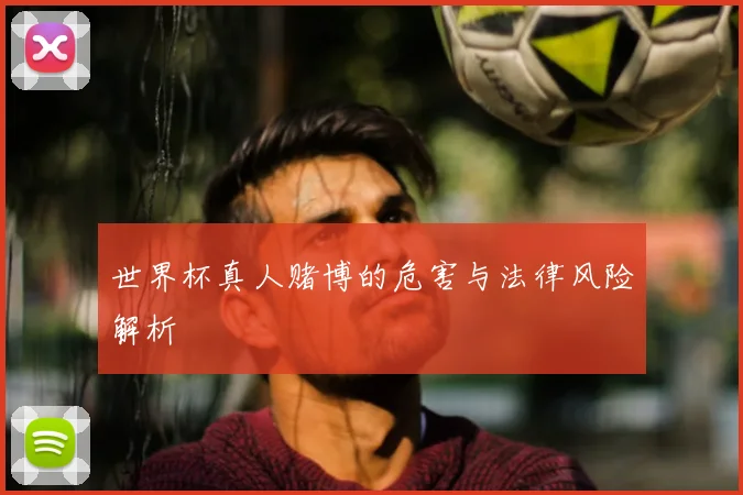 世界杯真人赌博的危害与法律风险解析