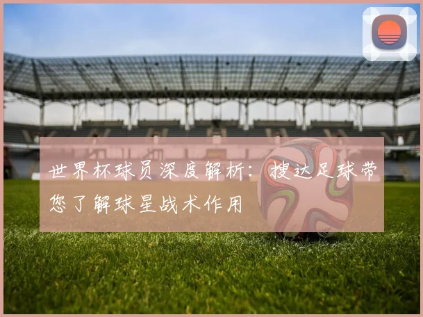 世界杯球员深度解析:搜达足球带您了解球星战术作用