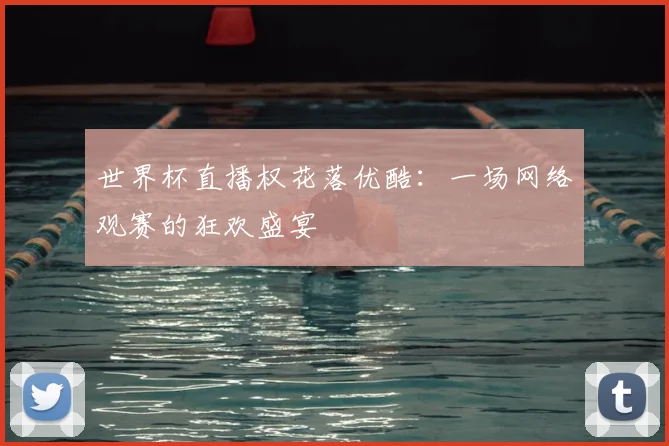 世界杯直播权花落优酷：一场网络观赛的狂欢盛宴