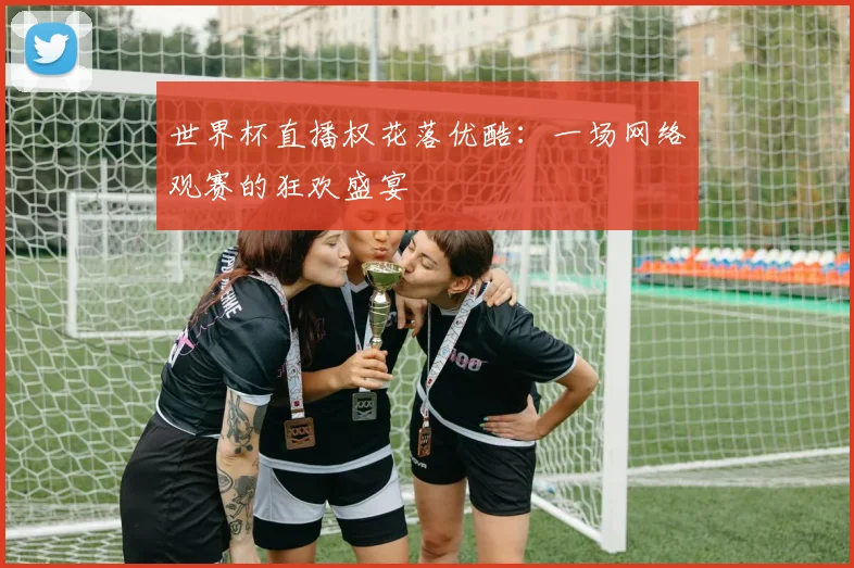 世界杯直播权花落优酷:一场网络观赛的狂欢盛宴