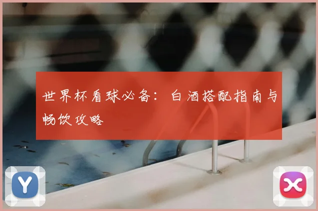 世界杯看球必备：白酒搭配指南与畅饮攻略