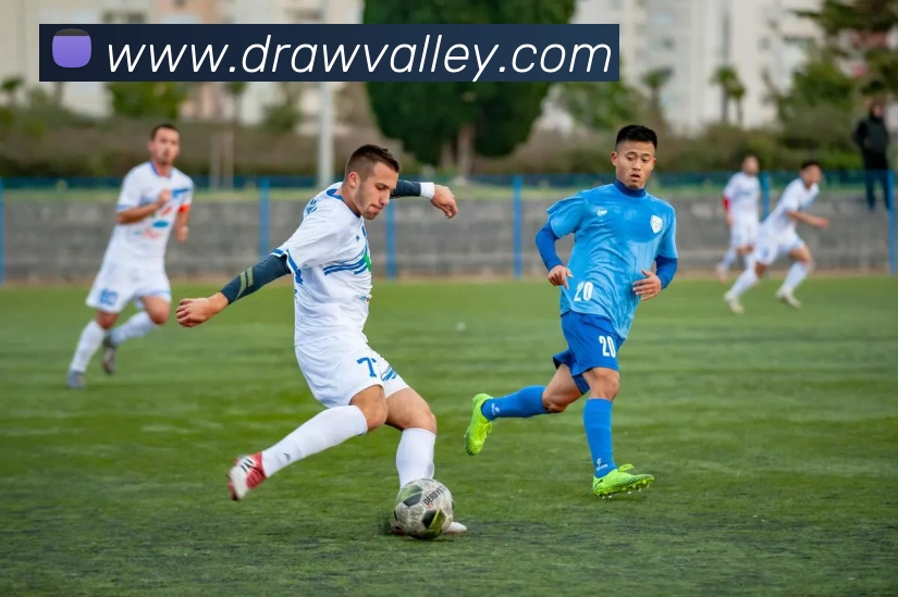 多媒体互动体验